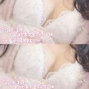 ヒメ日記 2024/12/13 17:24 投稿 ひなた 神田ハンドメイド