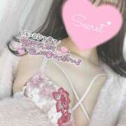 ヒメ日記 2024/12/18 11:52 投稿 ひなた 神田ハンドメイド