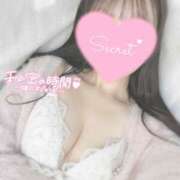 ヒメ日記 2025/01/05 15:01 投稿 ひなた 神田ハンドメイド