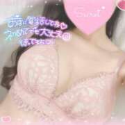 ヒメ日記 2025/02/05 14:10 投稿 ひなた 神田ハンドメイド