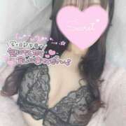 ヒメ日記 2025/03/20 12:41 投稿 ひなた 神田ハンドメイド