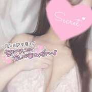 ヒメ日記 2025/03/25 23:20 投稿 ひなた 神田ハンドメイド