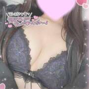 ヒメ日記 2025/03/30 12:52 投稿 ひなた 神田ハンドメイド