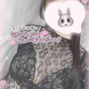 ヒメ日記 2025/04/06 13:01 投稿 ひなた 神田ハンドメイド