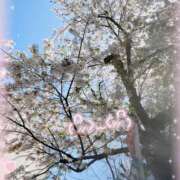 ヒメ日記 2025/04/09 17:18 投稿 ひなた 神田ハンドメイド