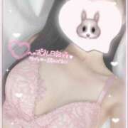 ヒメ日記 2025/04/30 14:07 投稿 ひなた 神田ハンドメイド