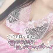 ヒメ日記 2025/06/17 11:00 投稿 ひなた 神田ハンドメイド