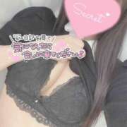 ヒメ日記 2025/06/20 17:57 投稿 ひなた 神田ハンドメイド