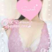 ヒメ日記 2025/09/05 18:17 投稿 ひなた 神田ハンドメイド