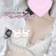 ヒメ日記 2025/09/23 11:39 投稿 ひなた 神田ハンドメイド