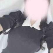 ヒメ日記 2025/09/24 11:33 投稿 ひなた 神田ハンドメイド