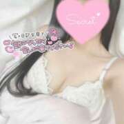 ヒメ日記 2025/10/22 16:51 投稿 ひなた 神田ハンドメイド