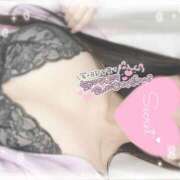 ヒメ日記 2025/10/26 12:09 投稿 ひなた 神田ハンドメイド