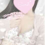 ヒメ日記 2025/11/18 12:00 投稿 ひなた 神田ハンドメイド