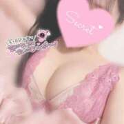 ヒメ日記 2025/11/25 17:06 投稿 ひなた 神田ハンドメイド