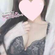 ヒメ日記 2025/11/28 17:28 投稿 ひなた 神田ハンドメイド