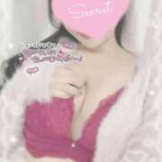 ヒメ日記 2025/12/03 14:30 投稿 ひなた 神田ハンドメイド