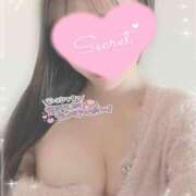 ヒメ日記 2025/12/05 11:07 投稿 ひなた 神田ハンドメイド