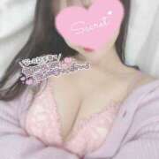 ヒメ日記 2025/12/09 17:10 投稿 ひなた 神田ハンドメイド