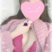 ひなた ＊ご予約お待ちしています?( ????? )＊ 神田ハンドメイド