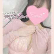 ヒメ日記 2026/03/10 14:00 投稿 ひなた 神田ハンドメイド