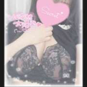 ヒメ日記 2026/04/14 15:07 投稿 ひなた 神田ハンドメイド