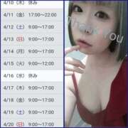 ヒメ日記 2025/04/03 16:40 投稿 ココ 谷町人妻ゴールデン倶楽部