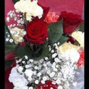 ヒメ日記 2025/05/12 16:20 投稿 ココ 谷町人妻ゴールデン倶楽部