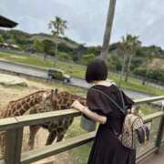 ヒメ日記 2025/05/26 11:40 投稿 ココ 谷町人妻ゴールデン倶楽部