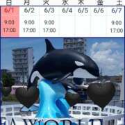 ヒメ日記 2025/05/31 16:25 投稿 ココ 谷町人妻ゴールデン倶楽部