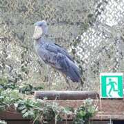 ヒメ日記 2025/06/07 12:20 投稿 ココ 谷町人妻ゴールデン倶楽部