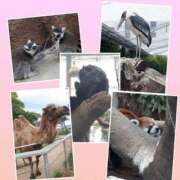 ヒメ日記 2025/06/08 18:00 投稿 ココ 谷町人妻ゴールデン倶楽部