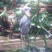 ヒメ日記 2025/07/16 17:25 投稿 ココ 谷町人妻ゴールデン倶楽部