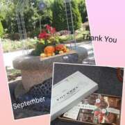 ヒメ日記 2025/10/15 14:25 投稿 ココ 谷町人妻ゴールデン倶楽部