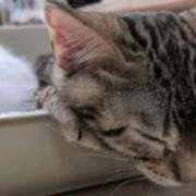 ヒメ日記 2025/12/21 09:25 投稿 ココ 谷町人妻ゴールデン倶楽部