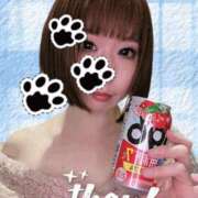 ヒメ日記 2026/01/17 14:20 投稿 ココ 谷町人妻ゴールデン倶楽部