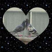 ヒメ日記 2025/05/19 22:00 投稿 上杉(うえすぎ) Ageha（あげは）