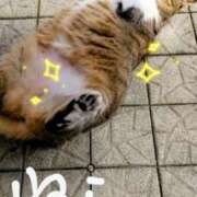 ヒメ日記 2025/10/29 15:34 投稿 上杉(うえすぎ) Ageha（あげは）