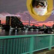 ヒメ日記 2025/11/07 15:57 投稿 上杉(うえすぎ) Ageha（あげは）