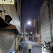 ヒメ日記 2025/11/13 09:26 投稿 上杉(うえすぎ) Ageha（あげは）