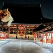 ヒメ日記 2025/11/28 09:21 投稿 上杉(うえすぎ) Ageha（あげは）