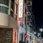 ヒメ日記 2025/11/30 08:54 投稿 上杉(うえすぎ) Ageha（あげは）