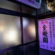 ヒメ日記 2025/12/01 07:07 投稿 上杉(うえすぎ) Ageha（あげは）