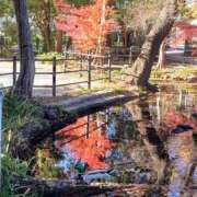 ヒメ日記 2025/12/02 09:39 投稿 上杉(うえすぎ) Ageha（あげは）