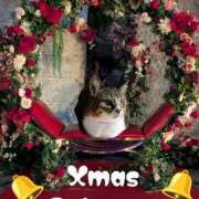 上杉(うえすぎ) おはようございます Ageha（あげは）