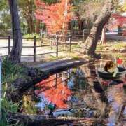 ヒメ日記 2025/12/13 08:37 投稿 上杉(うえすぎ) Ageha（あげは）