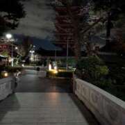 ヒメ日記 2025/12/16 09:23 投稿 上杉(うえすぎ) Ageha（あげは）