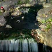 ヒメ日記 2025/12/18 09:28 投稿 上杉(うえすぎ) Ageha（あげは）