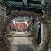 ヒメ日記 2026/01/04 10:06 投稿 上杉(うえすぎ) Ageha（あげは）