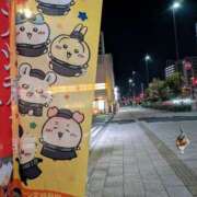 ヒメ日記 2026/01/08 09:16 投稿 上杉(うえすぎ) Ageha（あげは）